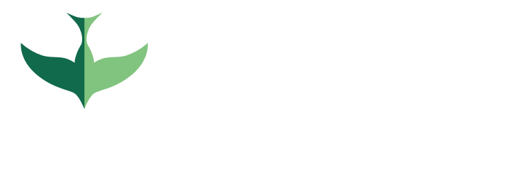 McNabb Center