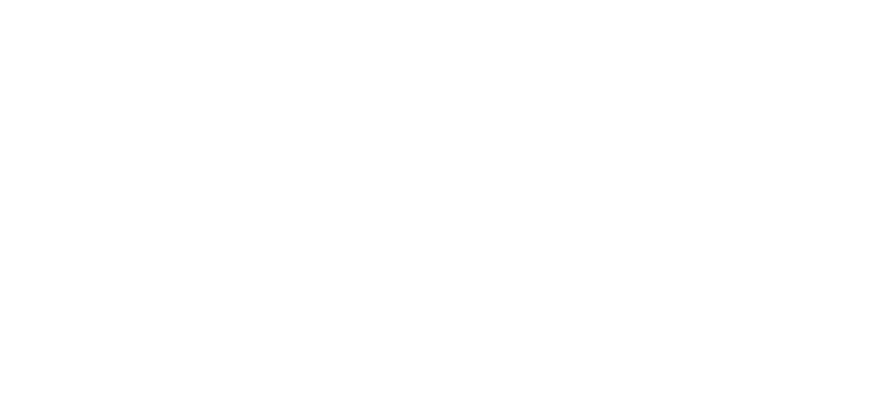 Solvis Logo